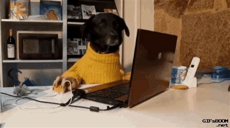 gifs working|funny working gif.